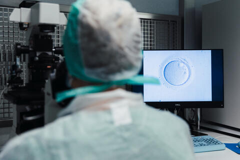 Fertiliteit Brugge reportage